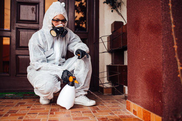 Reliable Ant Control contractor in Hidalgo, TX by Show Me Pest Control
